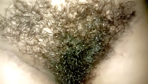Indian amateur video showing a girl with hairy pussy